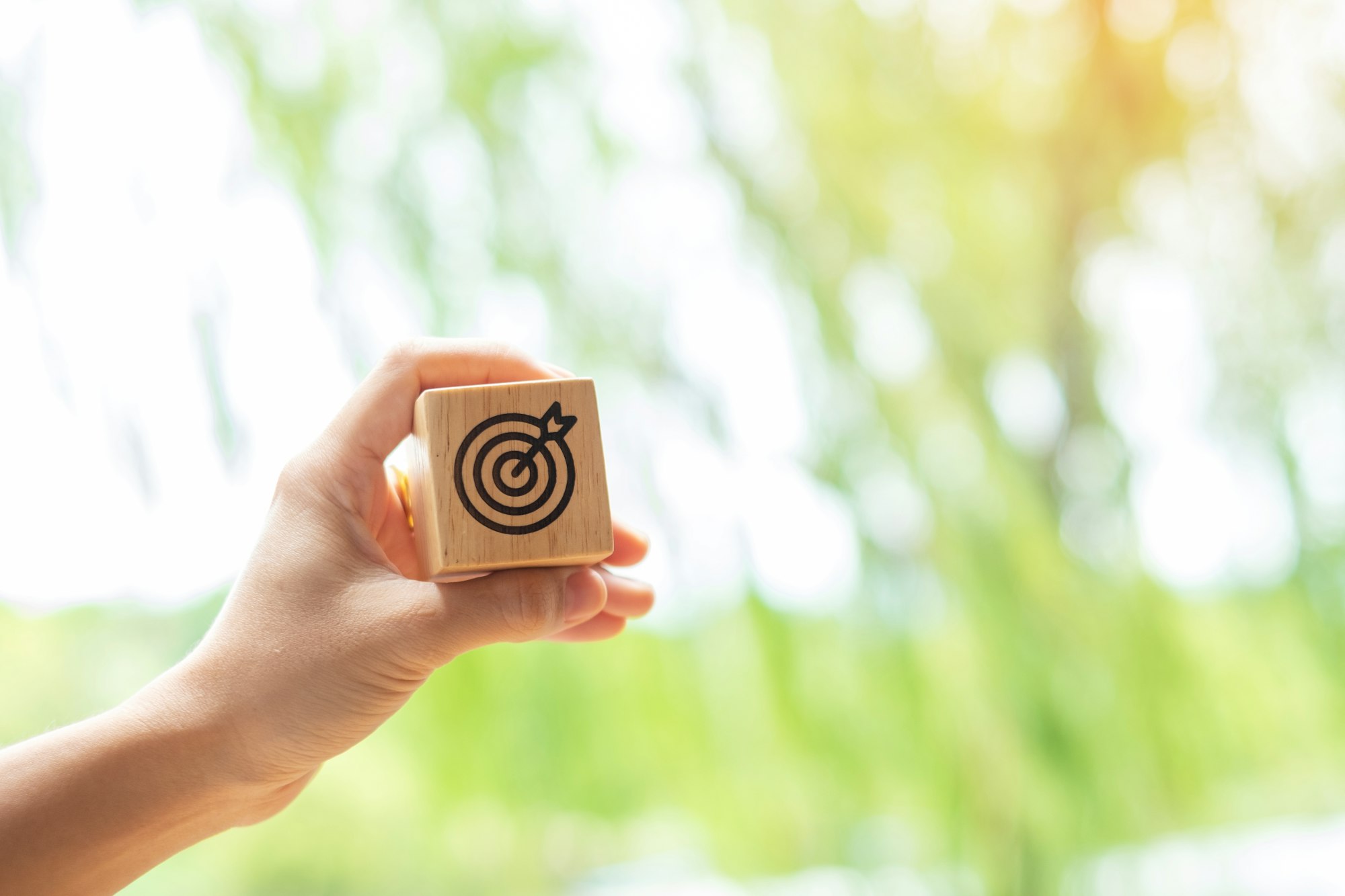 hand hold dartboard block with business goal, strategy, action, objective, aim and success concept